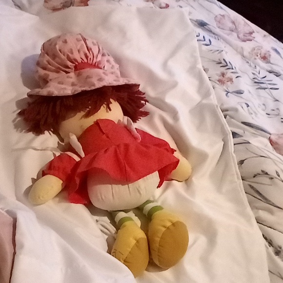 Strawberry Shortcake Ragdoll - Picture 5 of 5